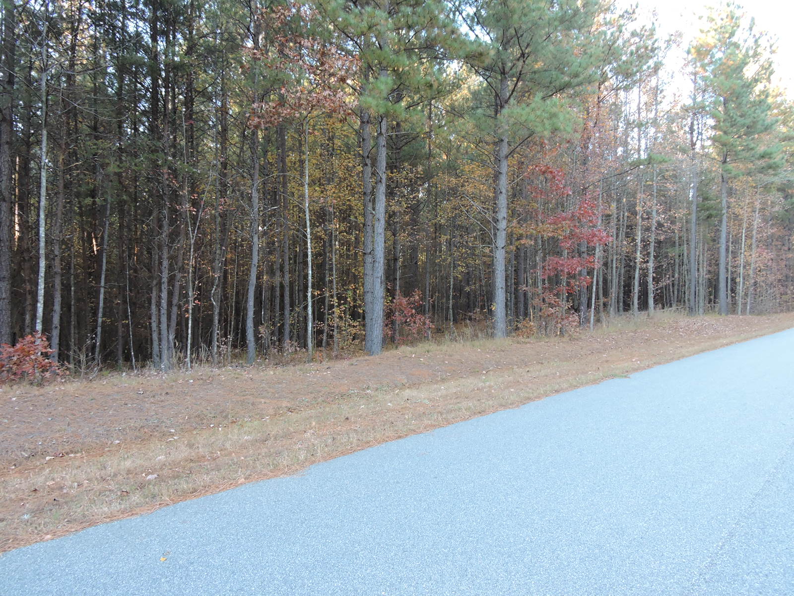 North Carolina Lake Lots for sale